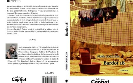 Littérature : Bardot 18, critique romancée de la relation franco-africaine