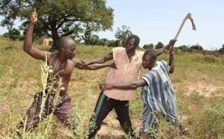 Bénin/Conflits entre agriculteurs et éleveurs: terreau de l'extrémisme violent