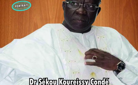 Dr Sékou Koureissy Condé: médiateur, ambassadeur de la paix et de la sécurité humaine transfrontalière en Afrique