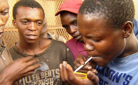 Afrique de l’ouest: l’addiction aux drogues due à quatre facteurs