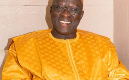 Dr Sékou Koureissy Condé: médiateur, ambassadeur de la paix et de la sécurité humaine transfrontalière en Afrique