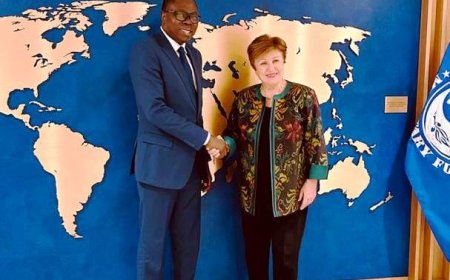 Washington: les Dg du Fagace et du FMI évoquent la coopération économique