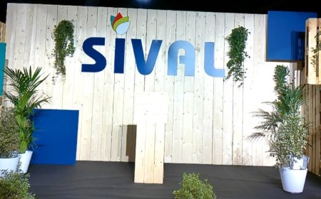 Angers/Sival 2025: le 38è sacre ou un conte de fées