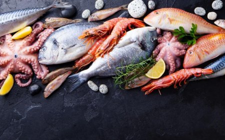 SNAP: la 1ère édition s’ouvre à Toulouse en octobre prochain