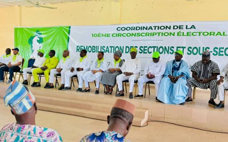 Système partisan au Bénin: le BR donne l’exemple à Savè