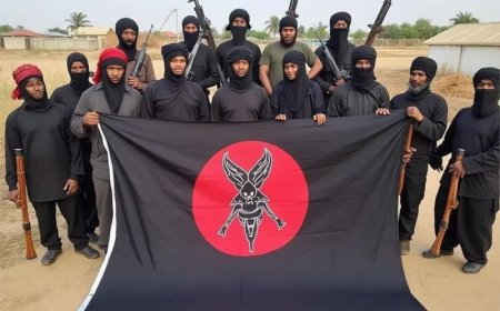 Nigéria : 600 terroristes neutralisés en 2025