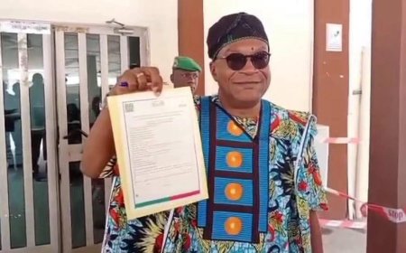 Le cas SODJINOU ou les dérives d’un parrainage sans garde-fou