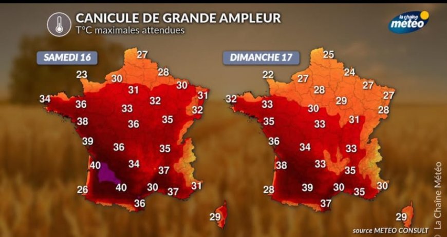 Canicule en France : les records de chaleur mettent le pays à l’épreuve