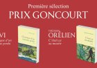 Prix Goncourt 2026 : Thélyson Orélien, la nouvelle voix haïtienne à entendre